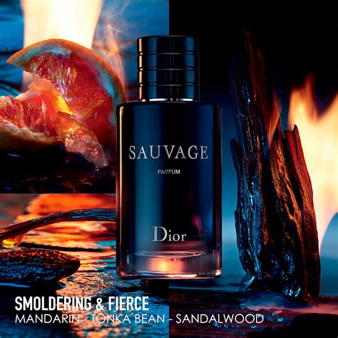 dior sauvage jeremy fragrance|dior sauvage perfume collection.